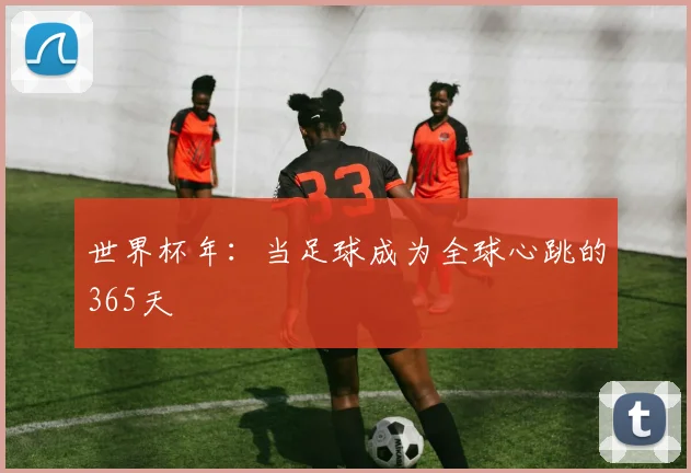 世界杯年：当足球成为全球心跳的365天