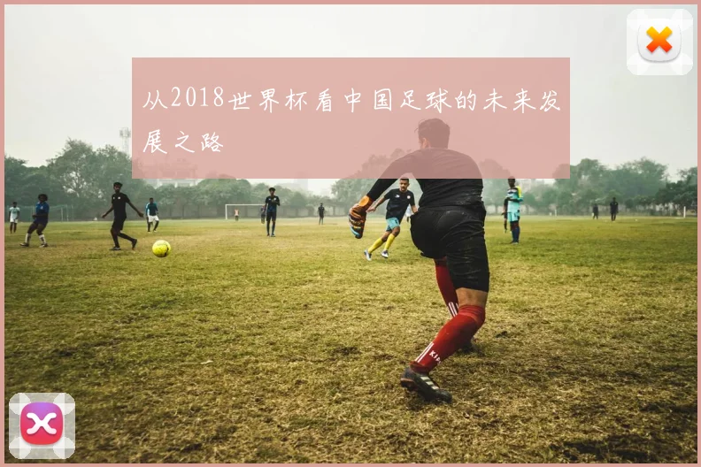 从2018世界杯看中国足球的未来发展之路