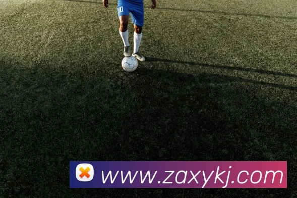 米乐网官网发展历程